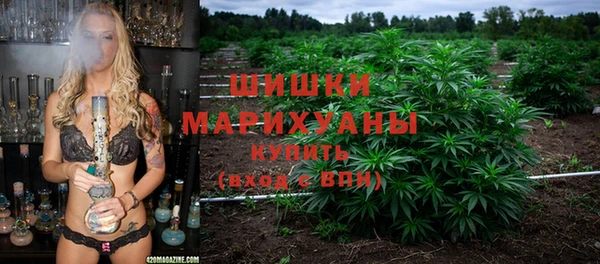 СК Новосибирск