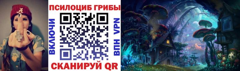 Псилоцибиновые грибы Psilocybe  Купить  Миньяр 
